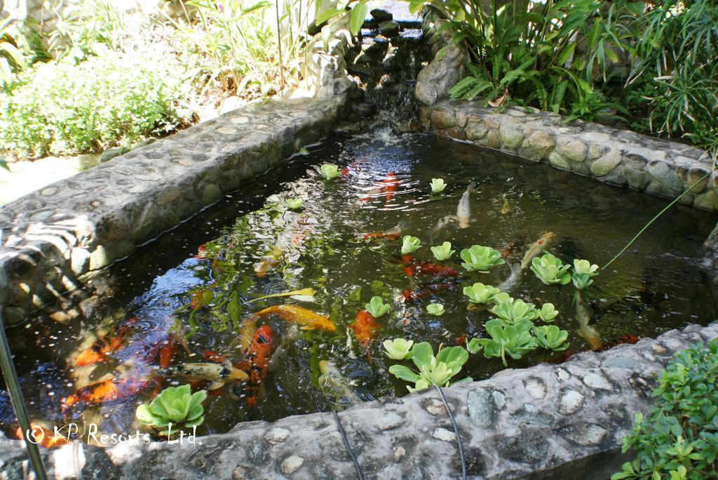 Enchanted Waters Tobago Buccoo Exterior foto